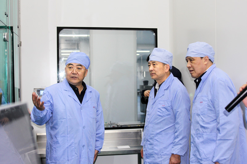 【江苏省人大常委会常务副主任、党组副书记樊金龙来吉贝尔药业调研】的配图